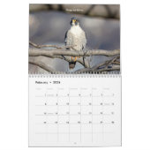 Calendrier Oiseaux de Prey 2026 (Feb 2026)