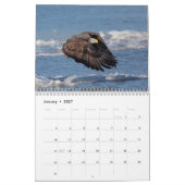 Calendrier Oiseaux de Prey 2026 (Jan 2027)