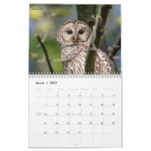 Calendrier Oiseaux de Prey 2026 (Mar 2027)