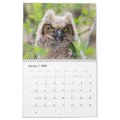 Calendrier Oiseaux de proie 2026 (Jan 2027)