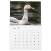 Calendrier Oiseaux d'eau 2026 (Jan 2027)