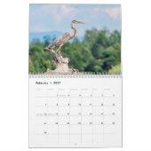 Calendrier Oiseaux d'eau 2026 (Feb 2027)
