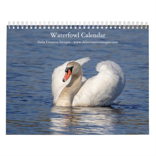 Calendrier Oiseaux d'eau 2026 (Protection)