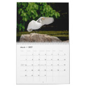 Calendrier Oiseaux d'eau 2026 (Mar 2027)
