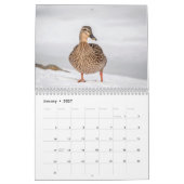 Calendrier Oiseaux d'eau 2026 (Jan 2027)