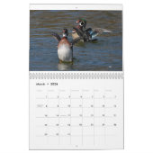Calendrier Oiseaux d'eau 3 Page MoyenCalendrier, blanc (Mar 2026)