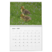Calendrier Oiseaux d'eau 4 (Mar 2027)