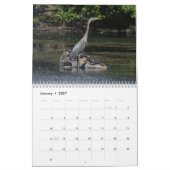 Calendrier Oiseaux d'eau 4 (Jan 2027)