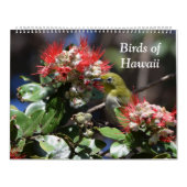 Calendrier Oiseaux d'Hawaï (Protection)