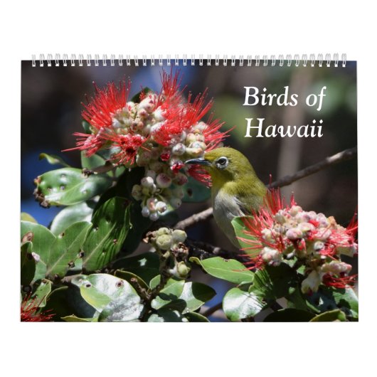 Calendrier Oiseaux d'Hawaï (Protection)