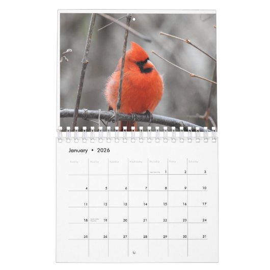 Calendrier Oiseaux du Carolinas (Jan 2026)