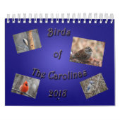 Calendrier Oiseaux du Carolinas (Protection)