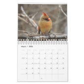 Calendrier Oiseaux du Carolinas (Mar 2026)