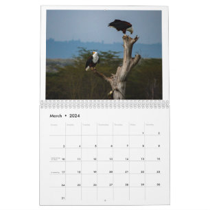 Calendrier Oiseaux du Kenya - Lac Naivasha