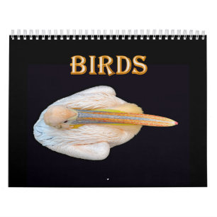 Calendrier oiseaux du monde
