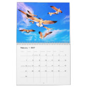 Calendrier oiseaux du monde (Feb 2027)