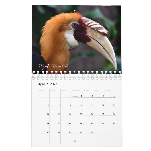 Calendrier Oiseaux du monde (Apr 2026)
