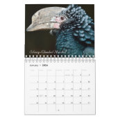 Calendrier Oiseaux du monde (Jan 2026)