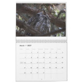 Calendrier Oiseaux du New Jersey (Mar 2027)