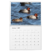 Calendrier Oiseaux du New Jersey (Jan 2027)