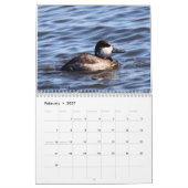 Calendrier Oiseaux du New Jersey (Feb 2027)