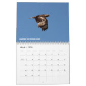 Calendrier Oiseaux du nord de l'Idaho (Mar 2026)