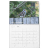 Calendrier Oiseaux du nord de l'Idaho (Jan 2027)