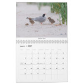 Calendrier Oiseaux du nord-est (Mar 2027)