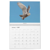 Calendrier Oiseaux du nord-est (Jan 2027)