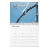 Calendrier Oiseaux du Nord-Ouest (Jan 2027)