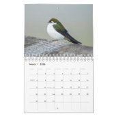 Calendrier Oiseaux du Nord-Ouest (Mar 2026)