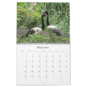 Calendrier oiseaux du top end 2027 (Mar 2027)