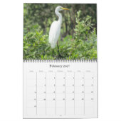 Calendrier oiseaux du top end 2027 (Feb 2027)