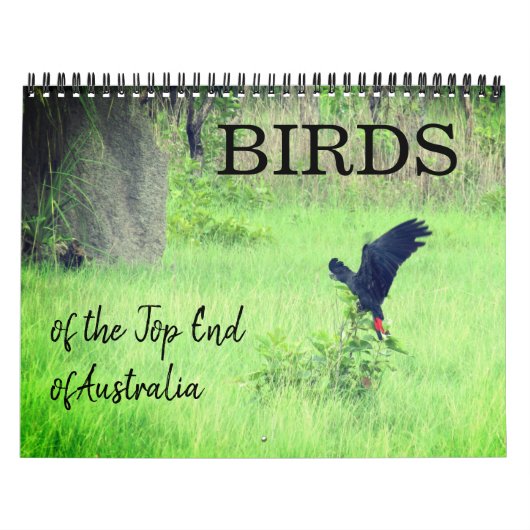 Calendrier oiseaux du top end 2027 (Protection)