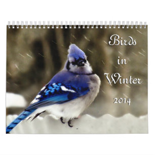 Calendrier Oiseaux en hiver