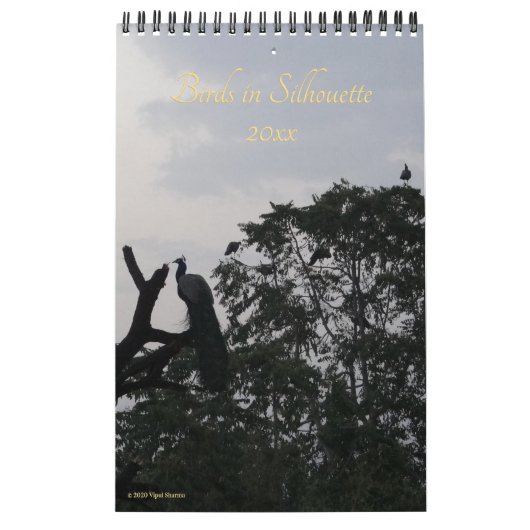 Calendrier Oiseaux en Silhouette Photographie Nature 2026 Mur (Protection)
