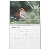 Calendrier - Oiseaux et papillons (Feb 2027)