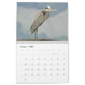 Calendrier - Oiseaux et papillons (Jan 2027)