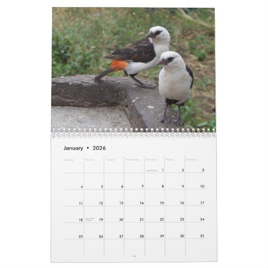 Calendrier Oiseaux exotiques d'est et de l'Afrique du Sud (Jan 2026)