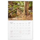 Calendrier - Oiseaux favoris (Mar 2027)