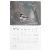 Calendrier - Oiseaux favoris (Feb 2027)