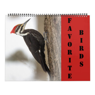 Calendrier - Oiseaux favoris
