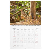 Calendrier - Oiseaux favoris (Mar 2026)