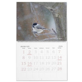 Calendrier - Oiseaux favoris (Feb 2026)