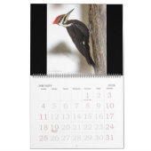 Calendrier - Oiseaux favoris (Jan 2026)