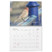 Calendrier - Oiseaux (grandes dates) (Jan 2026)