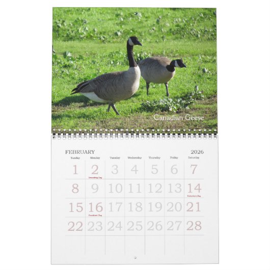 Calendrier - Oiseaux (grandes dates) (Feb 2026)