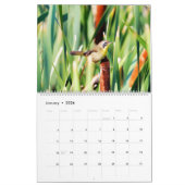 Calendrier Oiseaux humides du Montana (Jan 2026)