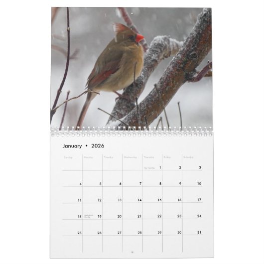 Calendrier Oiseaux Jardins (Jan 2026)
