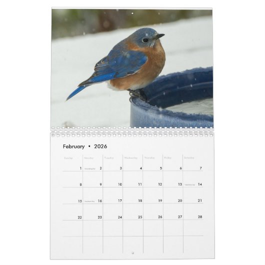 Calendrier Oiseaux jardins (Feb 2026)